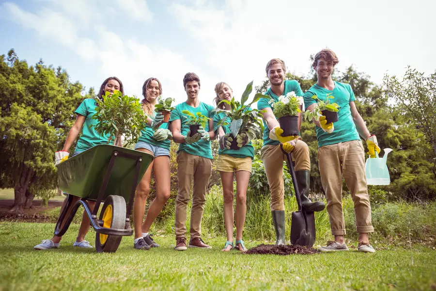 Signs A Tree Needs Immediate Professional Attention Simi Valley, CA